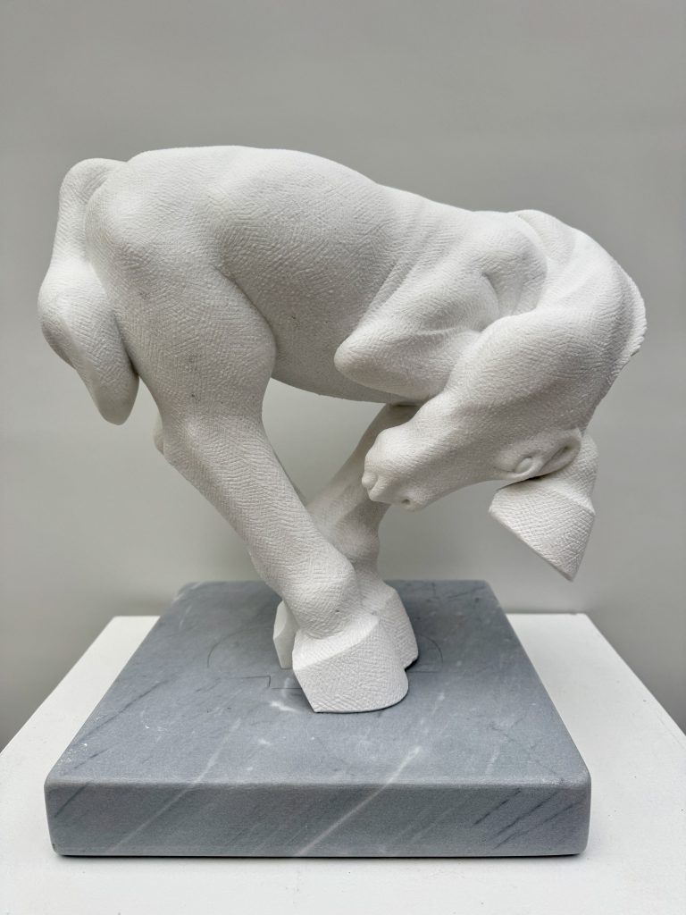 Michael Quane, Horse